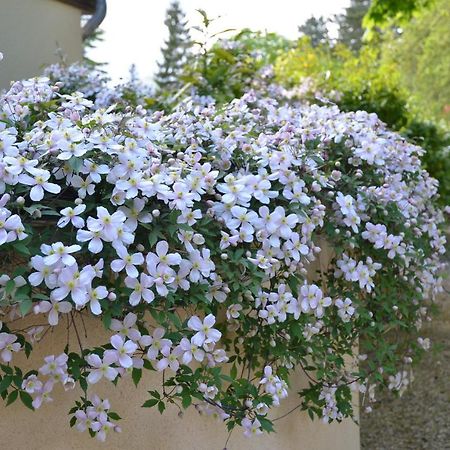 吉维尼Le Clos Fleuri住宿加早餐旅馆 外观 照片